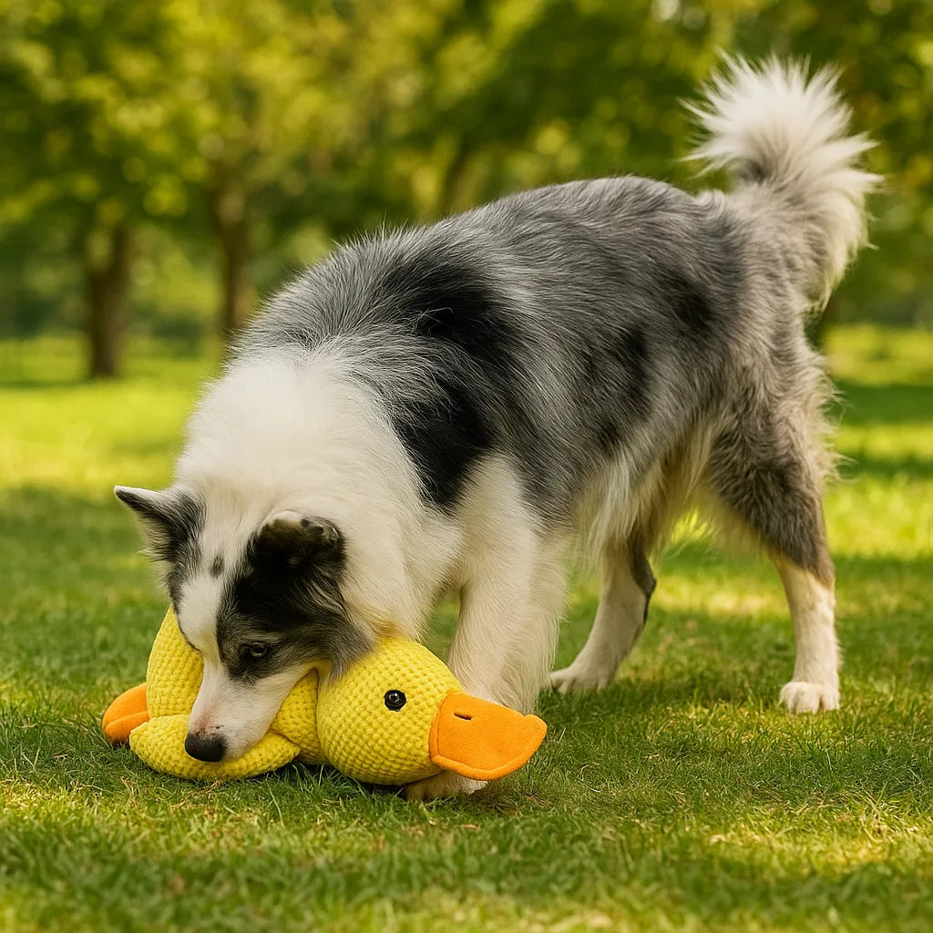 Quackpaw™ Squeaky Duck Dog Toy