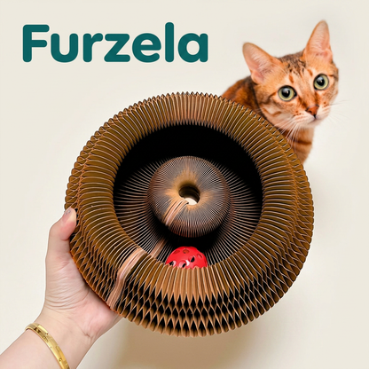 Magic Organ Cat Scratcher