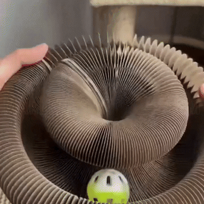 Magic Organ Cat Scratcher